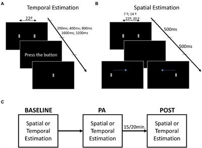 Moderate physical activity alters the estimation of time, but not space